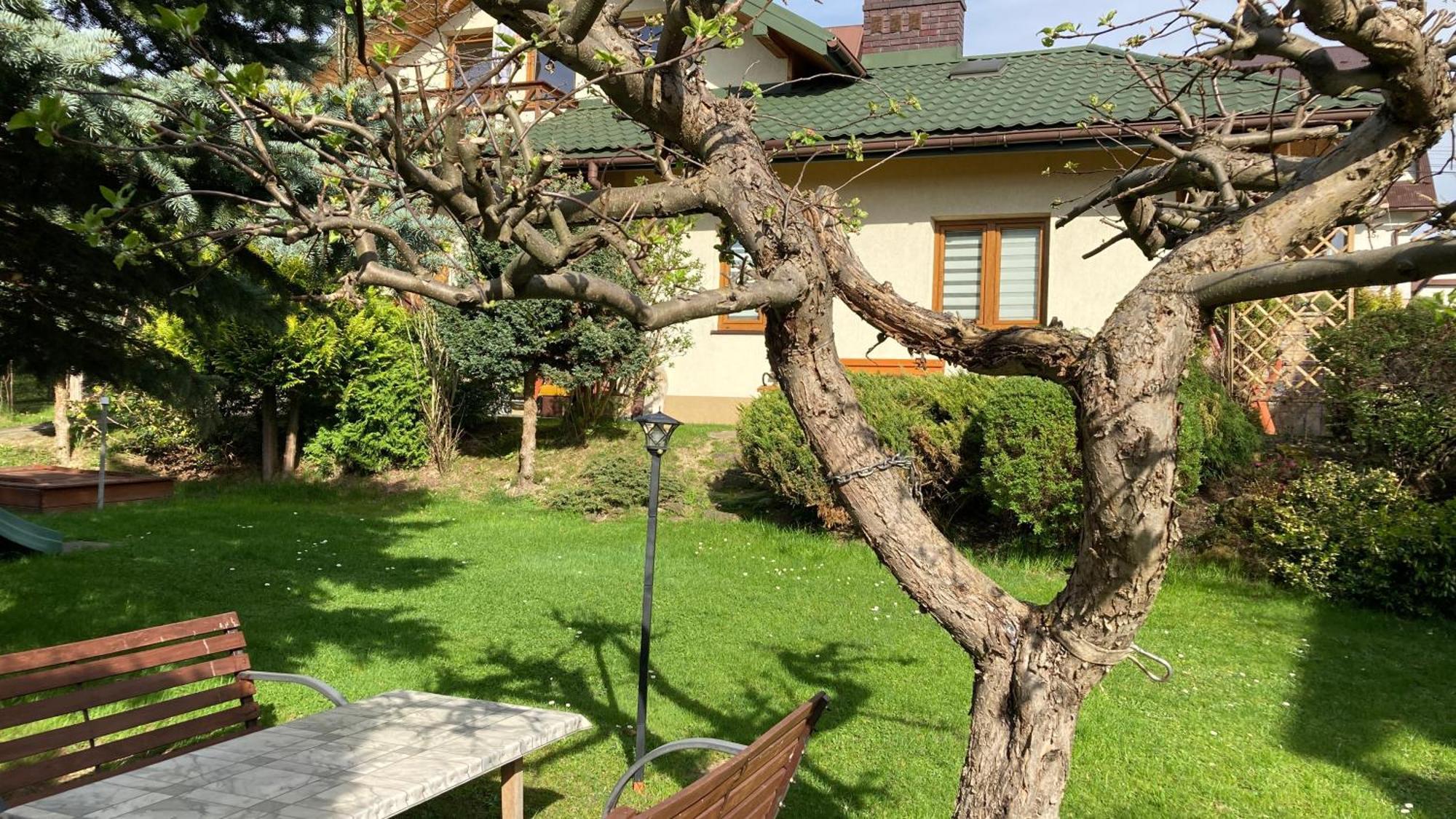 Apartamenty-Studio Noclegi Wczasy Wakacje Ferie - Pobyty Rodzinne 拉布卡 外观 照片